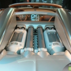 Bugatti Veyron 16.4 Grand Sport zdjęcia