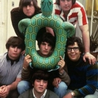 koncert The Turtles