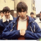 tapety Oasis