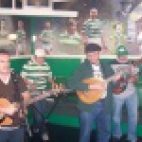 Charlie and the Bhoys tapety