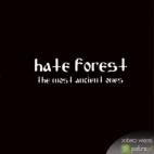 Hate Forest koncert