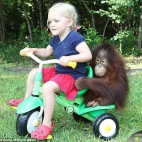 Dziecko ze swoim przyjacielem szympansem