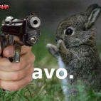 yeah_bunny