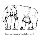 ile nóg ma ten słoń??????????