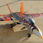 F-18 Tiger