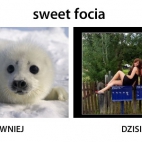 Sweet Focia