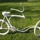 Custom Bike