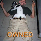 Owned by dog