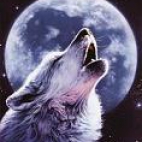 Księżycowy wilk