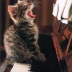 Kot muzykant