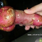 dziwny ziemniak