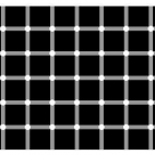 Ile kropek widzisz???