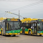 Autobus 524 CENTRUM WARSZAWA (WAWA :) )