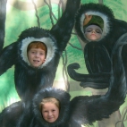 małpy w zoo