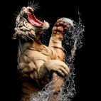 glodny tygrys