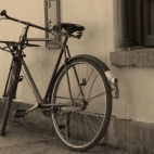 majka stary rower