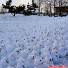 Snowman's Ghetto