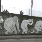 Ewolucja na ścianie