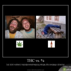 THC vs. %