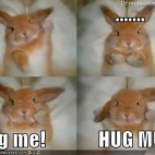 Hug me !!
