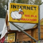 Internet nie dla baranów