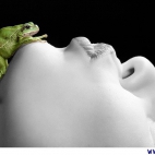 Kobieta i żaba