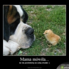 mama mowila.............xxx