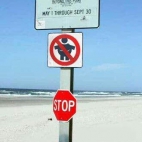 Plaża nudystów - puszystym wstęp wzbroniony!