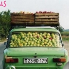 Samochód napakowany jabłkami