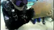 Rekin ugryzł nurka w twarz