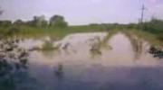 Powódź - Kolonia Wrzelów