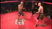 MMA knockout ever