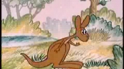 kangurek hip-hop  bóbr