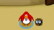 NCP - BROWN PUFFLE - 1