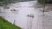 Powódź 2010 - Skawina