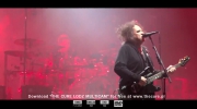 The Cure - A Night like This * The Cure Lodz Multicam * Live 2016 FullHD