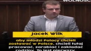 Jacek Wilk (partia Wolność) - PiS chce imigrantów aby naprawić problem demograficzny w Polsce