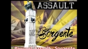 Bayonet Assault - Sorgente.mp4