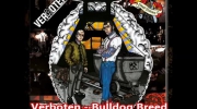 Verboten - Bulldog Breed.mp4