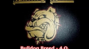 Bulldog Breed - 4.Q..mp4