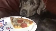 mine pizza!