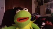 Kermit the Frog reacts to "2 girls one cup"