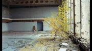 Czarnobyl: Fotografie i Opisy