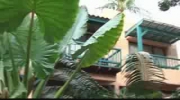 Baan Samui Resort-Koh Samui-Trailer