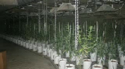 The ultimate Growroom