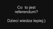 Co to jest referendum?