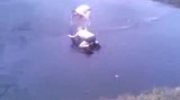 Rusek skacze do wody na główkę -tylko jezioro zamarza lol