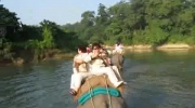 Nepal 3- słonie