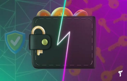 Trustee – portfel kryptowalutowy z IBAN i kartą płatniczą