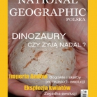 national_geographic..